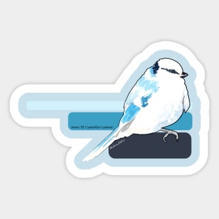 Azure Tit Watercolour Sticker